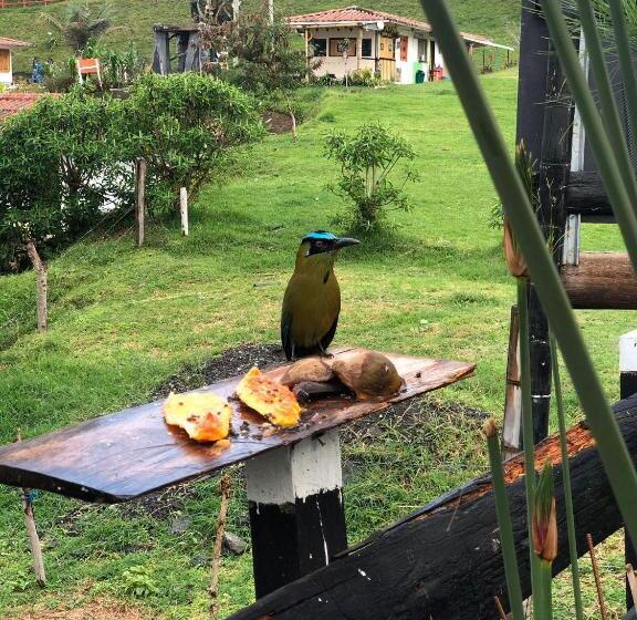 호스텔 Hostal Y Camping Los Girasoles