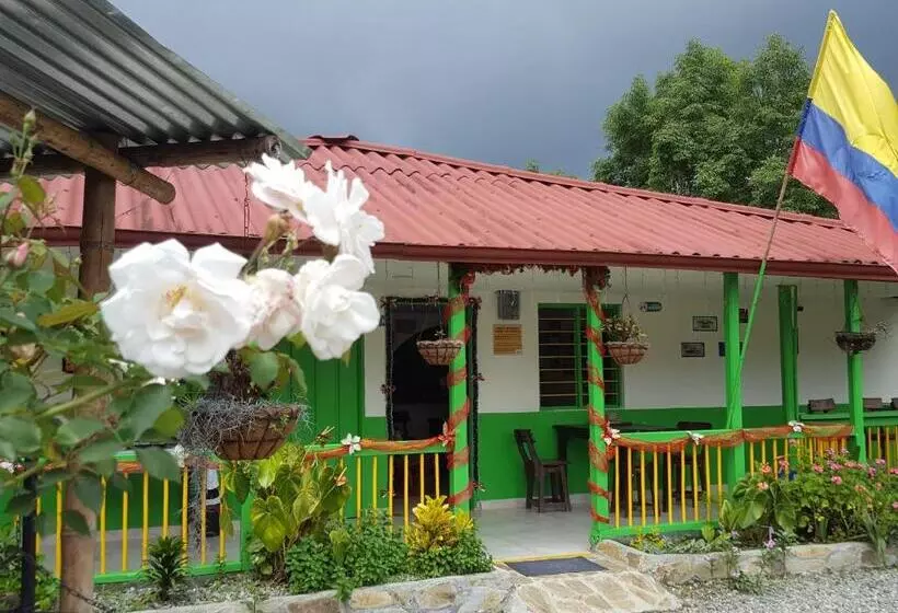 ユースホステル Hostal Y Camping Los Girasoles