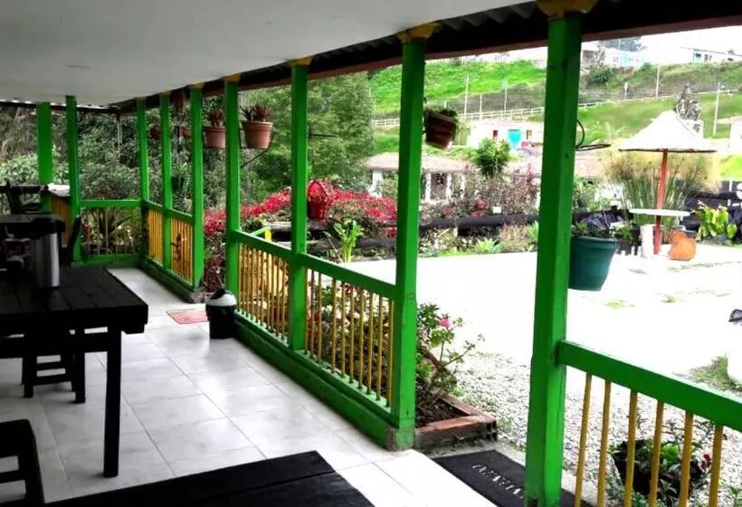 ユースホステル Hostal Y Camping Los Girasoles