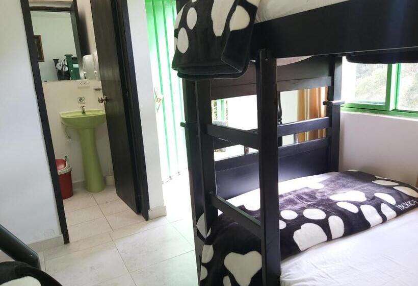 호스텔 Hostal Y Camping Los Girasoles