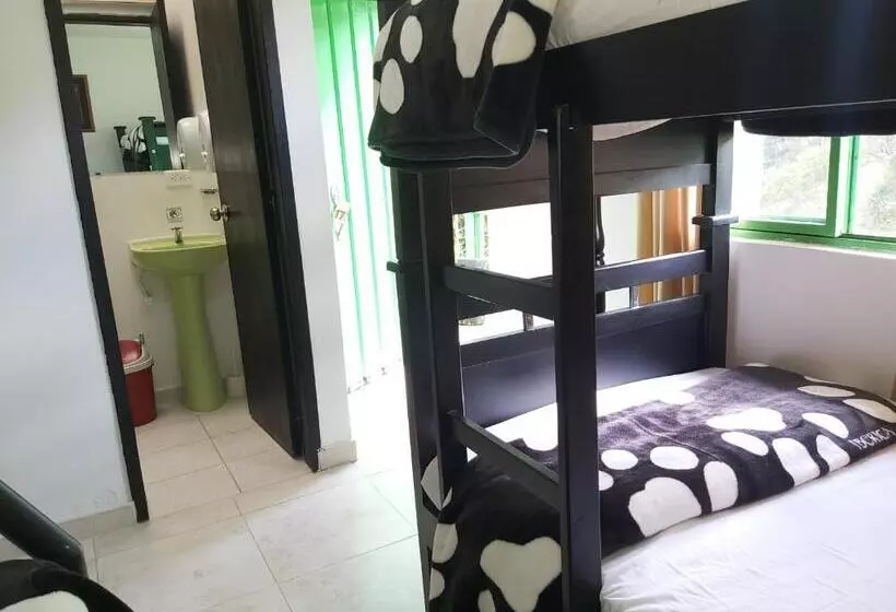 ユースホステル Hostal Y Camping Los Girasoles