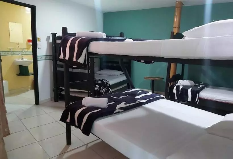 ユースホステル Hostal Y Camping Los Girasoles