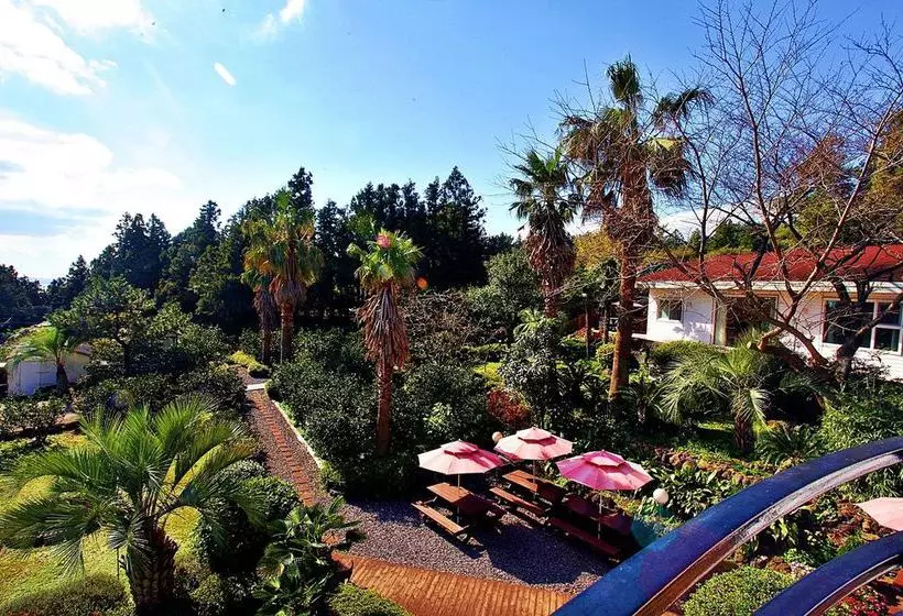 Jeju Casablanca
