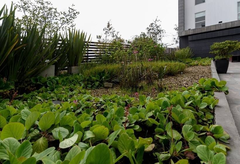 호텔 City Express Plus By Marriott Bogota Aeropuerto