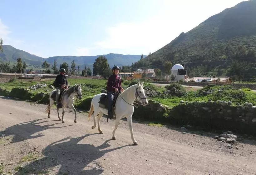 Hotel Tradicion Colca