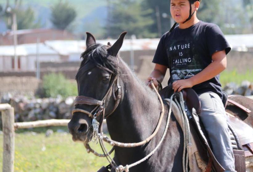 Hotel Tradicion Colca