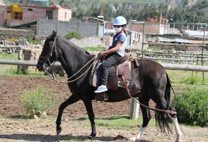 Hotel Tradicion Colca