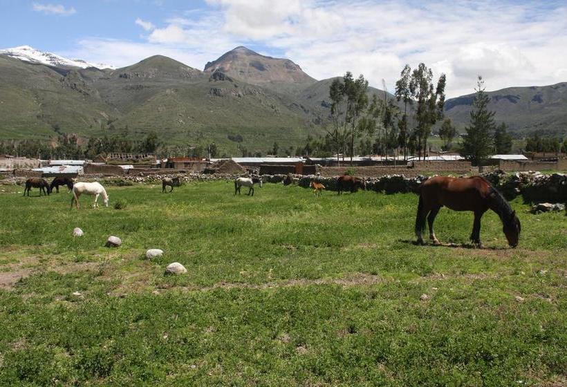 Hotel Tradicion Colca