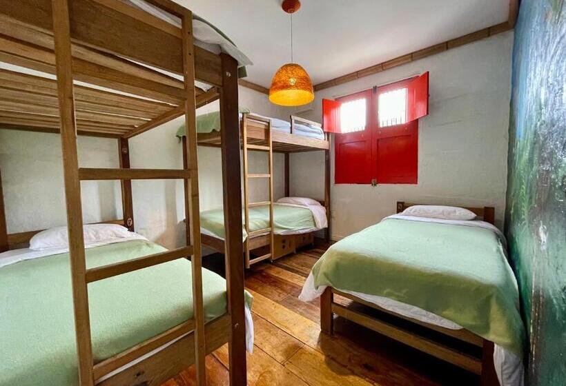 ユースホステル Hostal Tralala Salento