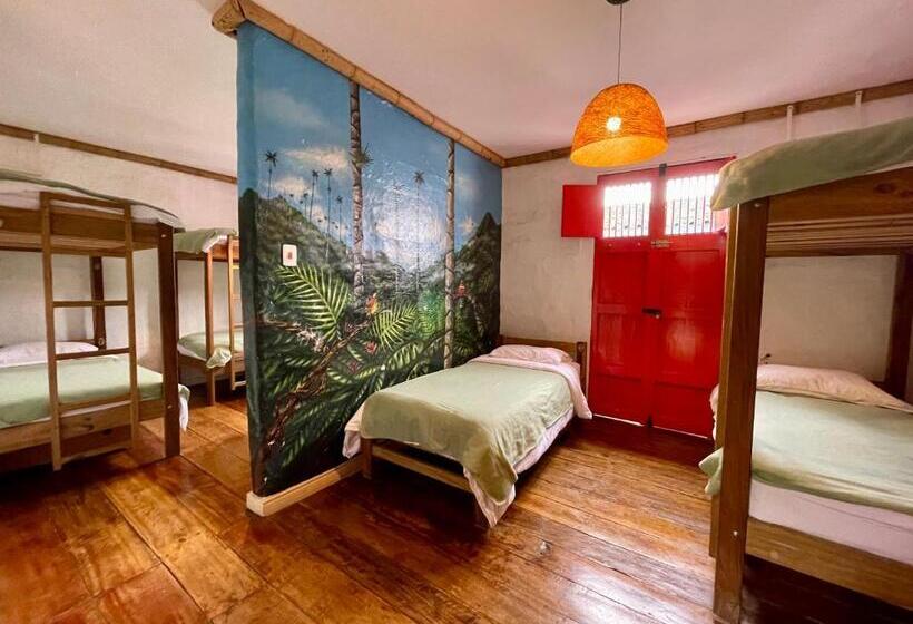 ユースホステル Hostal Tralala Salento