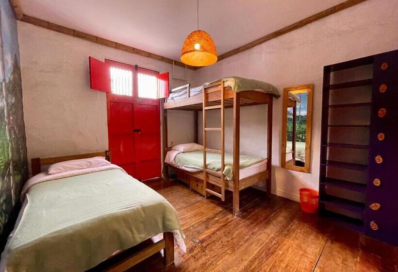 ユースホステル Hostal Tralala Salento