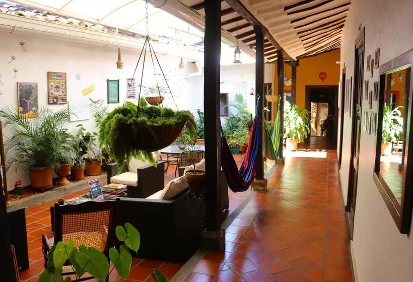 Real Dream Hostel