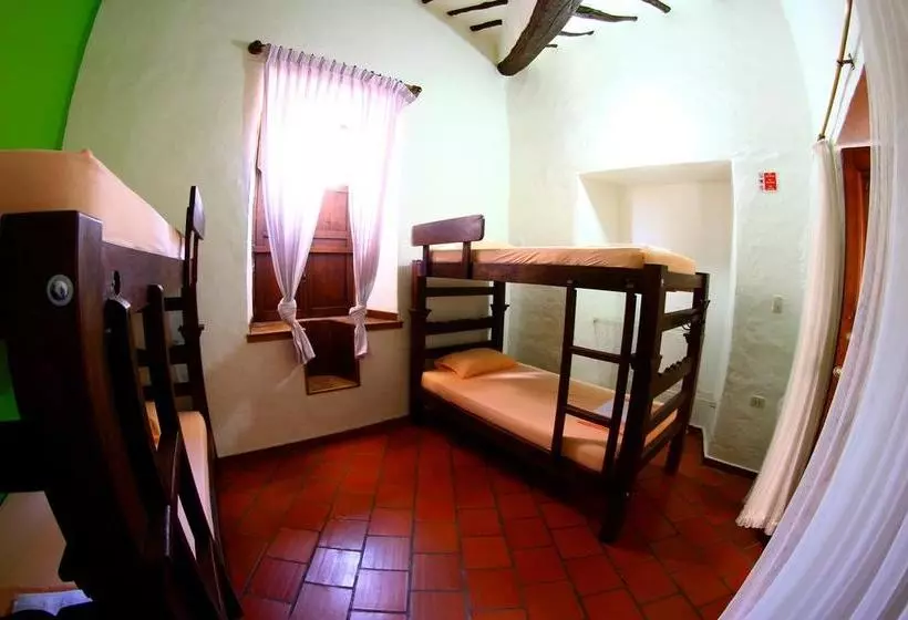 Real Dream Hostel