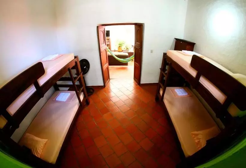 Real Dream Hostel