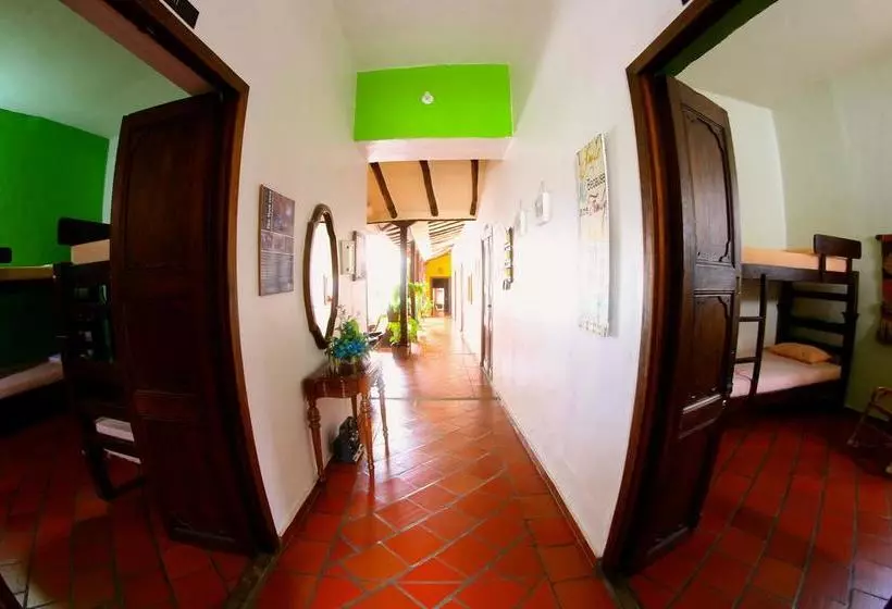 Real Dream Hostel