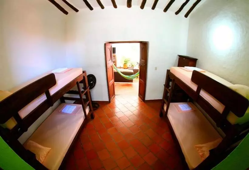 Real Dream Hostel