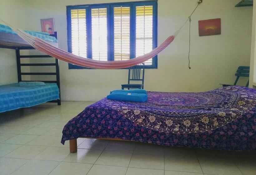 تختخواب و صبحانه Jardin Etnobotanico Villa Ludovica