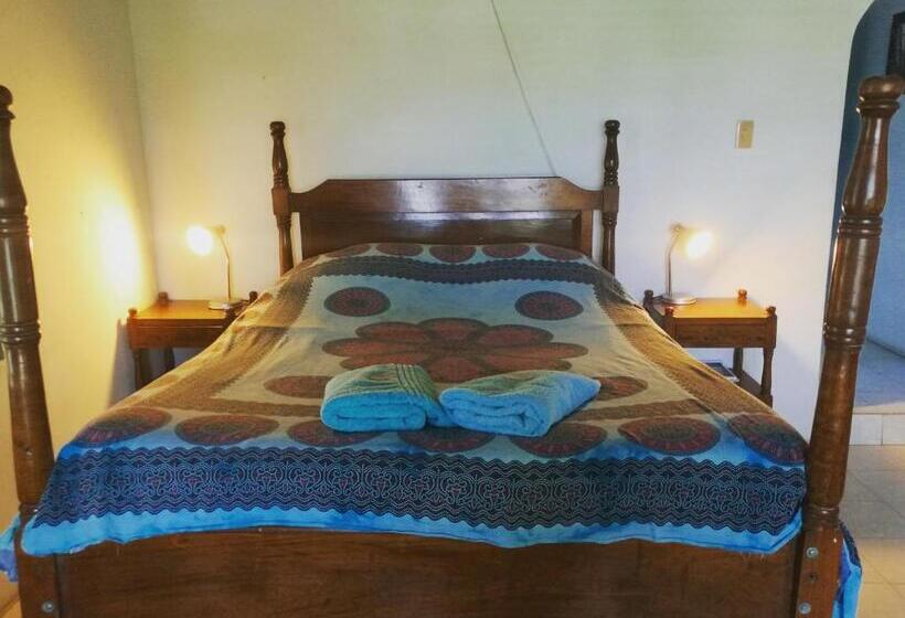 تختخواب و صبحانه Jardin Etnobotanico Villa Ludovica