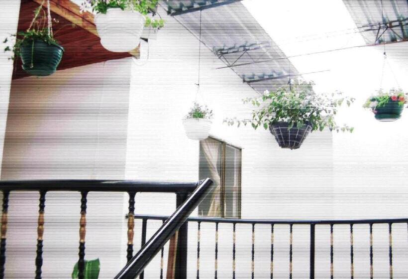 Отель Arpa De Aguas