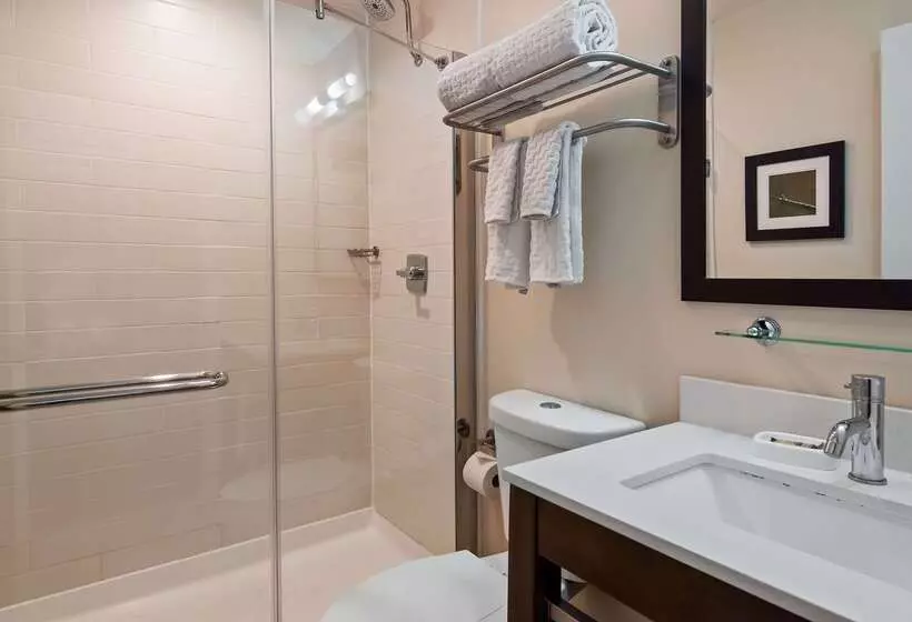 ホテル Best Western Plus Philadelphia Convention Center