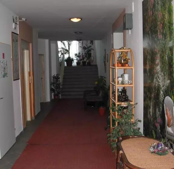 هتل Loft Apartman