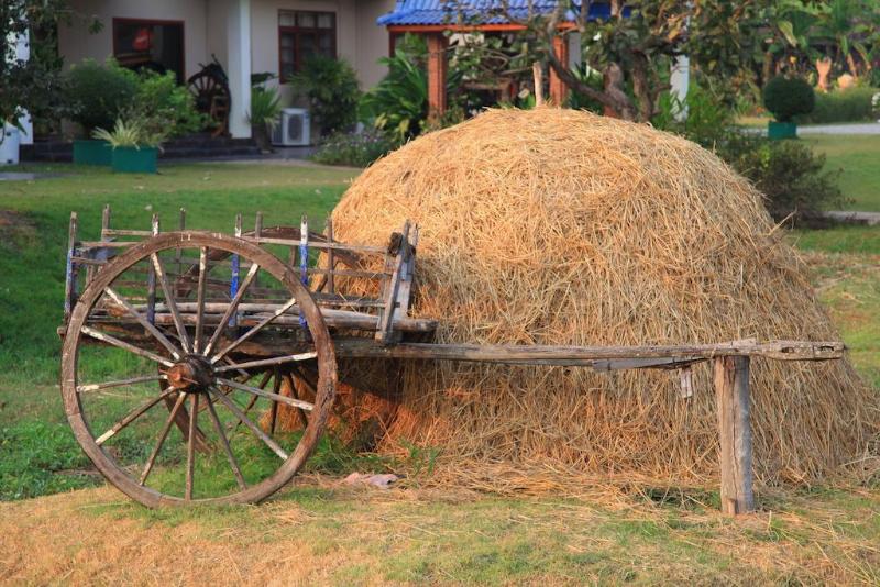 Hotel The Ricefields