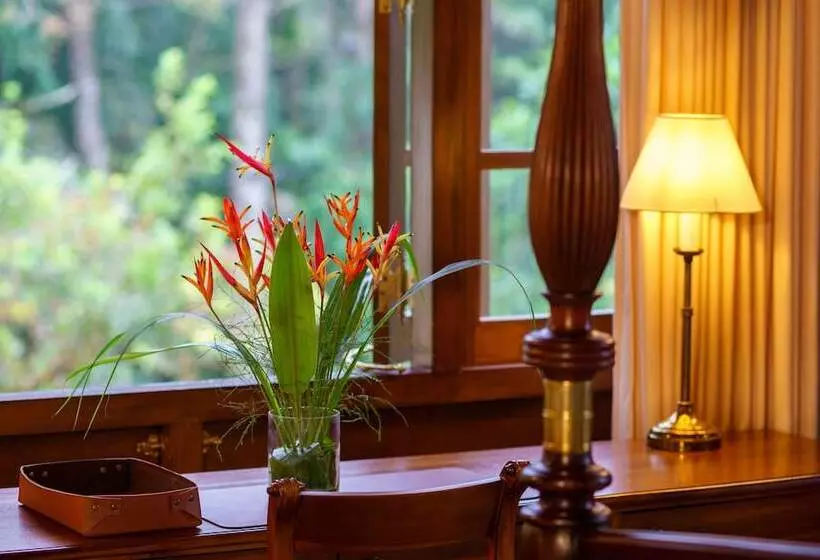 Lomakeskus Dendrobium House