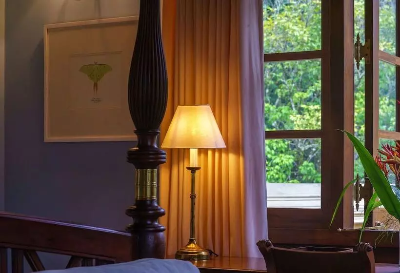 Lomakeskus Dendrobium House