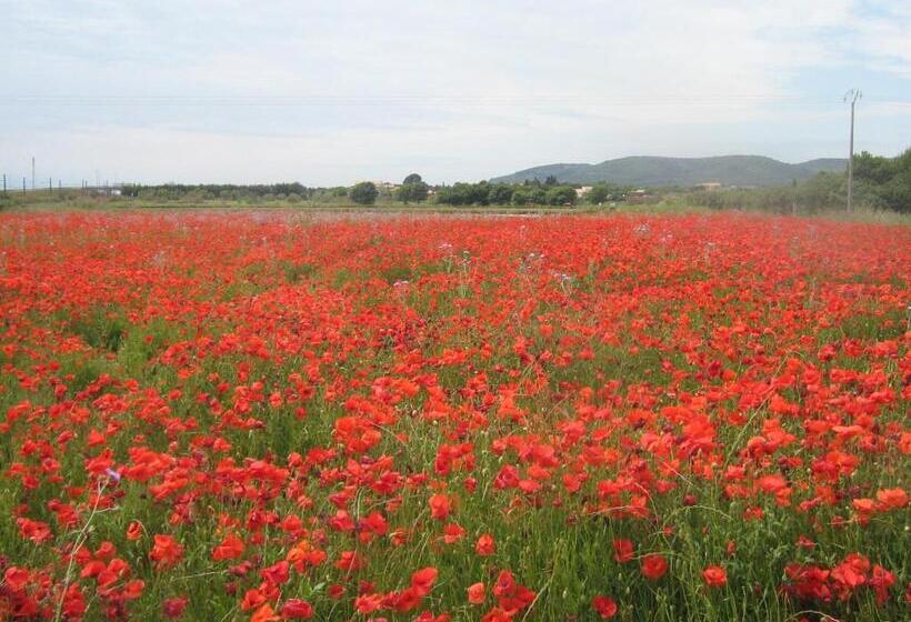 مبيت وإفطار Gite Villa Lou Félibre