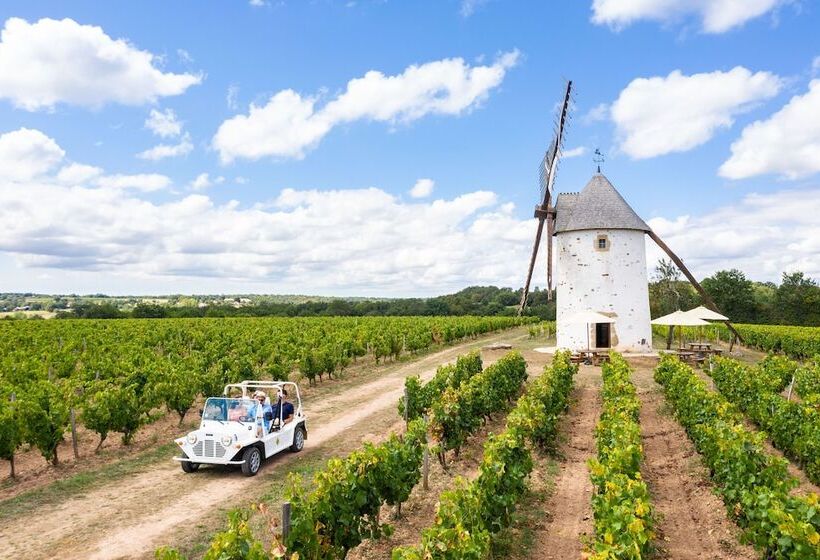 Bed and Breakfast La Villa Des Roses Gîte Chambres D Hôtes Piscine Chauffée