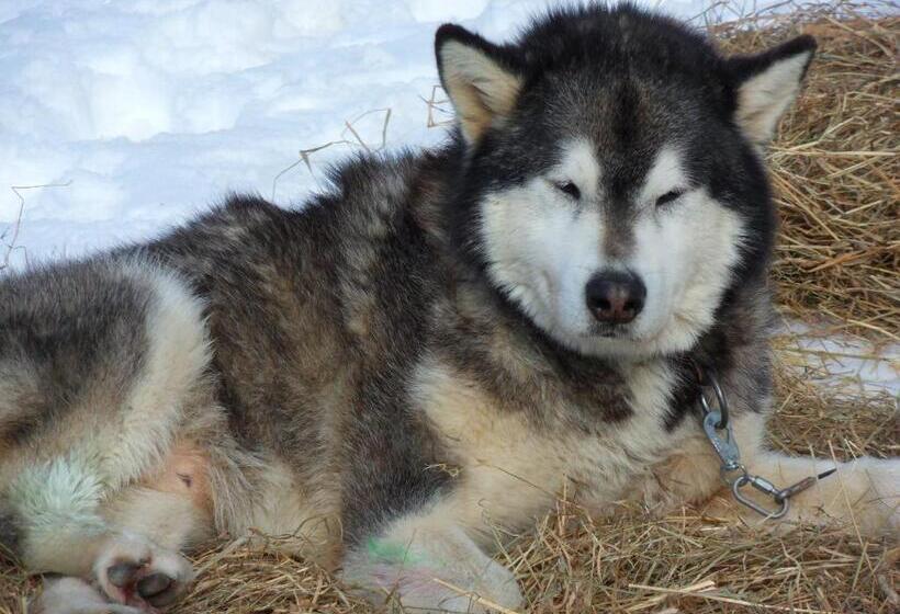مبيت وإفطار L'estapade Des Tourelons