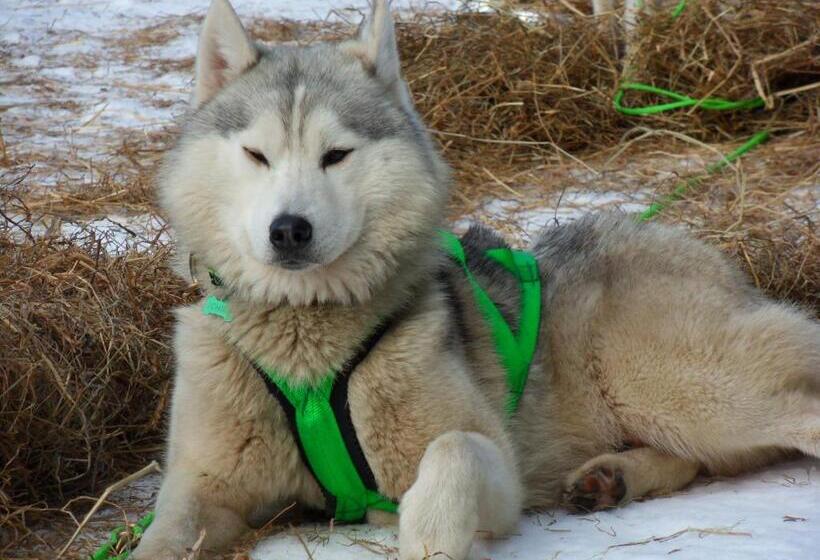 مبيت وإفطار L'estapade Des Tourelons