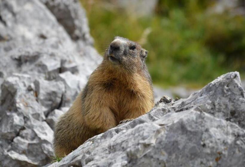مبيت وإفطار L'estapade Des Tourelons