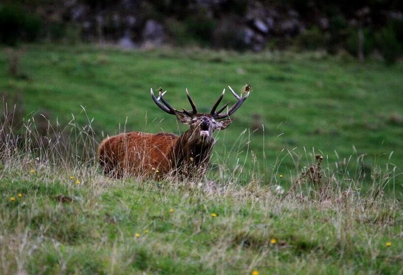 مبيت وإفطار L'estapade Des Tourelons
