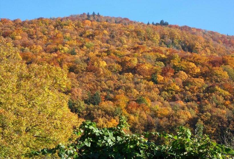 مبيت وإفطار L'estapade Des Tourelons