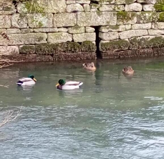 Bed and Breakfast L'orée Des 3 Rivières