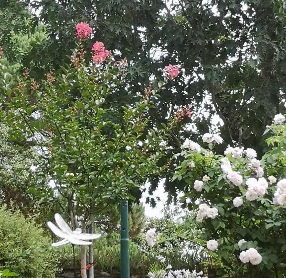 ベッドアンドブレックファースト Maison D Hôtes Hameau De Taur