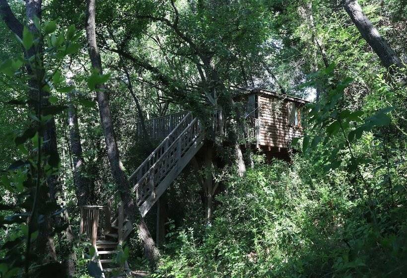 تختخواب و صبحانه Orion Tree Houses