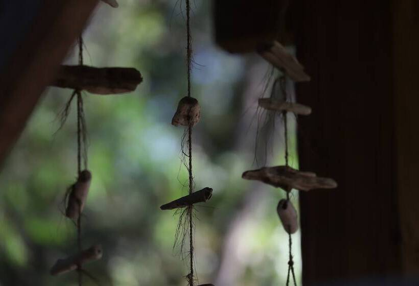 تختخواب و صبحانه Orion Tree Houses