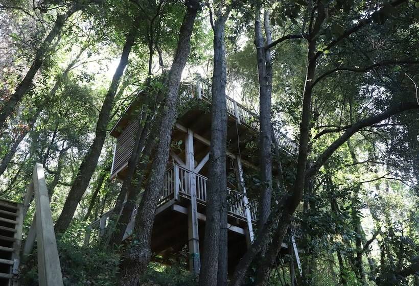 تختخواب و صبحانه Orion Tree Houses