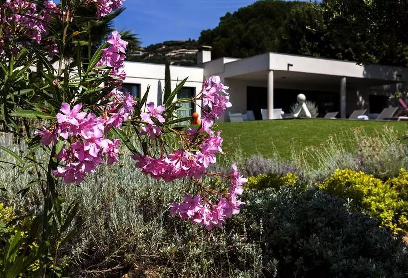 تختخواب و صبحانه Villa Californie