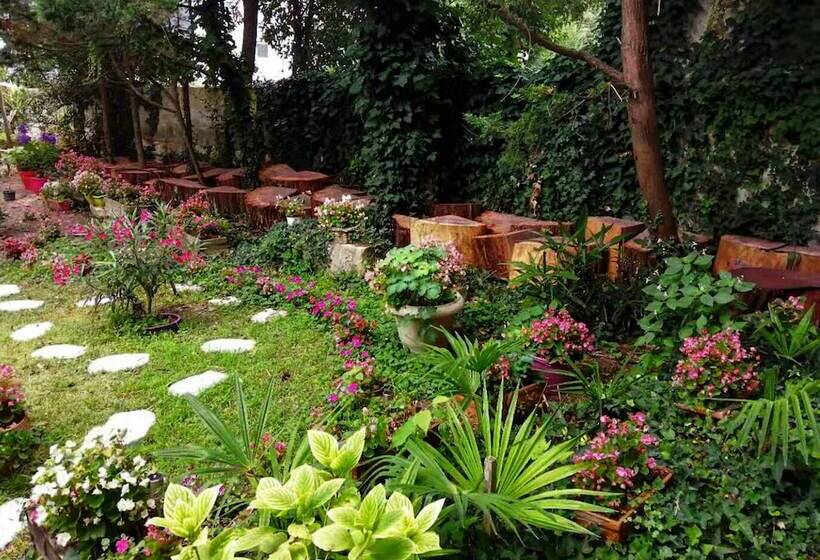 تختخواب و صبحانه Villa Sequoia Garden