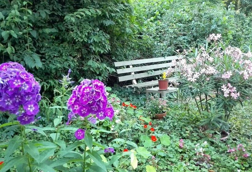 تختخواب و صبحانه Villa Sequoia Garden