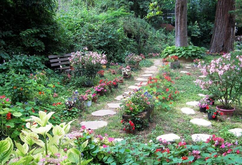 تختخواب و صبحانه Villa Sequoia Garden