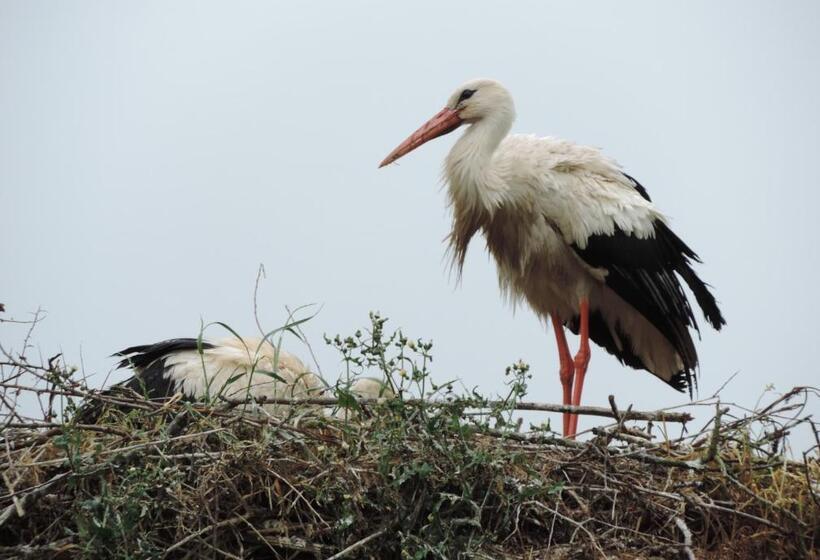 B&b Les Oiseaux De Passage