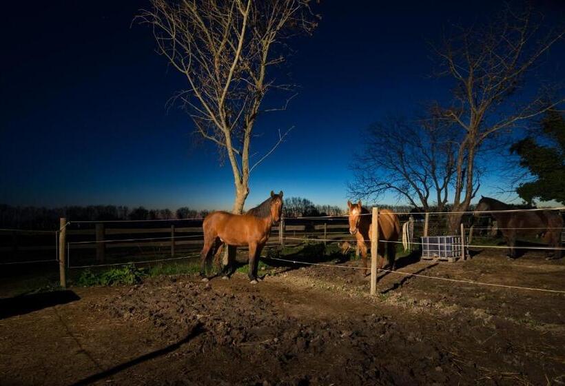 B&b Maison D Hôte Et Gite Mas D Eymard