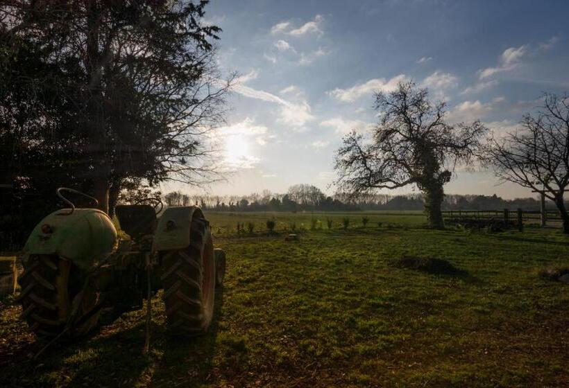 B&b Maison D Hôte Et Gite Mas D Eymard