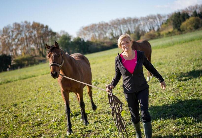 B&b Maison D Hôte Et Gite Mas D Eymard