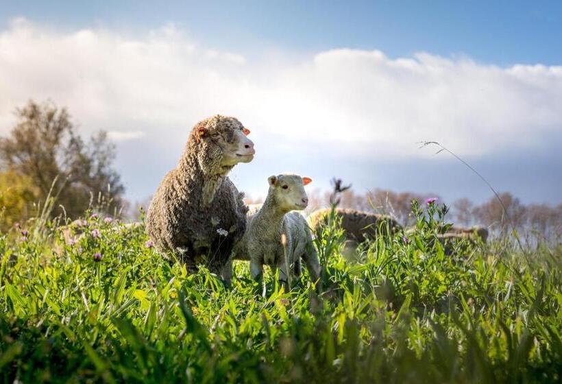 B&b Maison D Hôte Et Gite Mas D Eymard