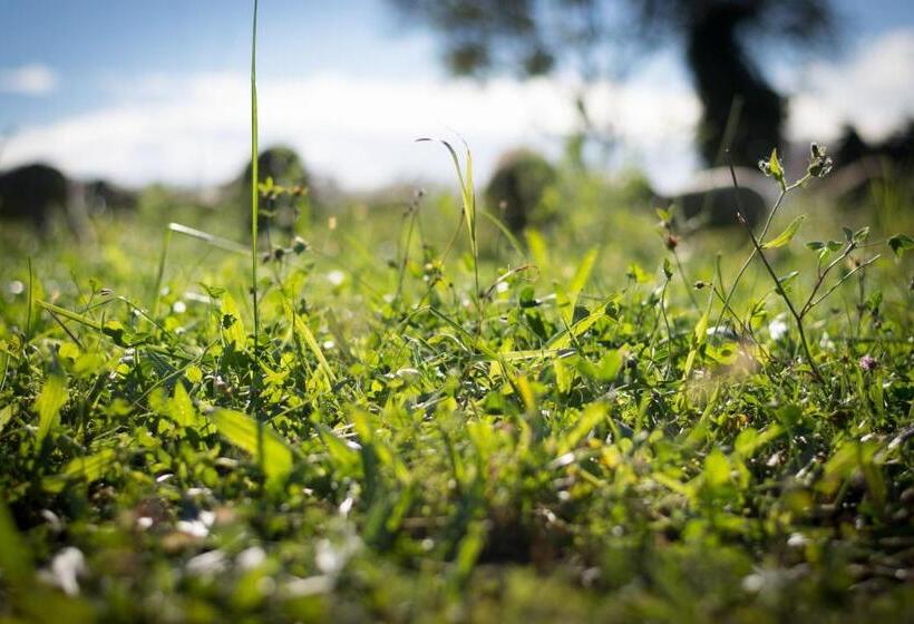 B&b Maison D Hôte Et Gite Mas D Eymard
